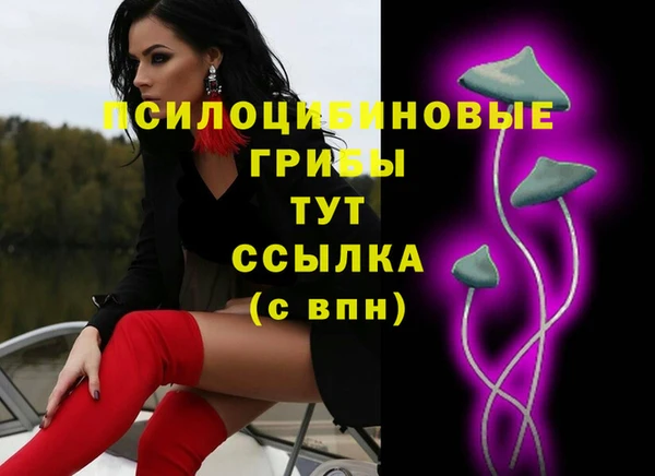 героин Рославль