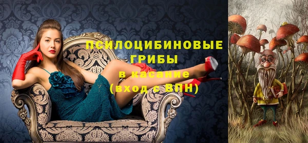 дживик Алзамай
